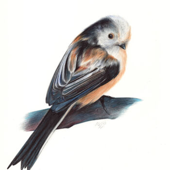 Dibujo titulada "Long-tailed Tit - (…" por Daria Maier, Obra de arte original, Bolígrafo