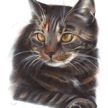 Rysunek zatytułowany „Cat (Photorealistic…” autorstwa Daria Maier, Oryginalna praca, Długopis