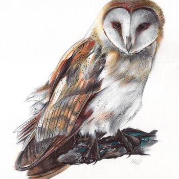Rysunek zatytułowany „Barn Owl - Bird Por…” autorstwa Daria Maier, Oryginalna praca, Długopis