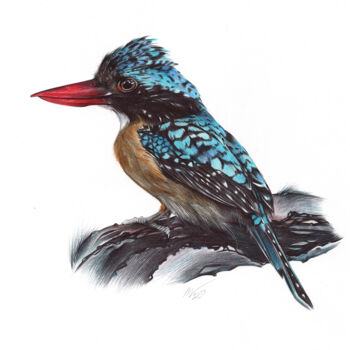Dibujo titulada "Banded Kingfisher (…" por Daria Maier, Obra de arte original, Bolígrafo