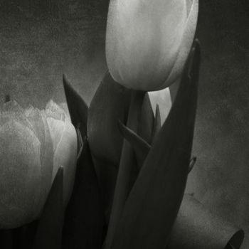 Φωτογραφία με τίτλο "Tulipe 3" από Jean-François Mansencal, Αυθεντικά έργα τέχνης, Ψηφιακή φωτογραφία