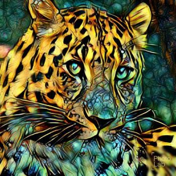 Photographie intitulée "Un léopard version…" par Florence Castelli  Flofloyd, Œuvre d'art originale