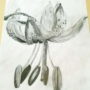Dessin intitulée "Une belle fleur" par Florence Castelli  Flofloyd, Œuvre d'art originale, Crayon