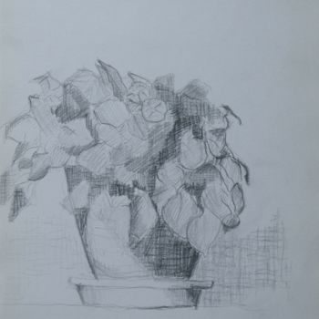 Drawing titled "BOUQUET 4" by Marc Barn, Original Artwork, Pencil