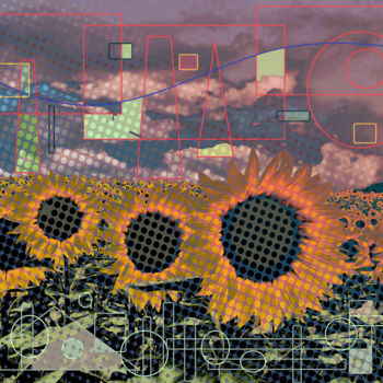 数字艺术 标题为“Flowering in Summer” 由Marc Bulyss, 原创艺术品, 数字油画