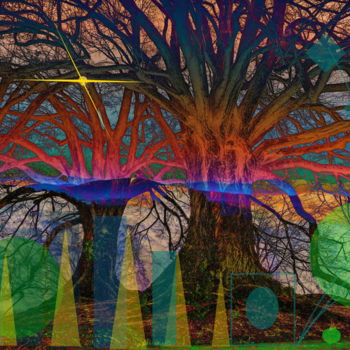 Digitale Kunst getiteld "Tree of st Louis" door Marc Bulyss, Origineel Kunstwerk, Digitaal Schilderwerk
