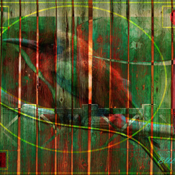 "Happiness Bird" başlıklı Dijital Sanat Marc Bulyss tarafından, Orijinal sanat, Dijital Resim