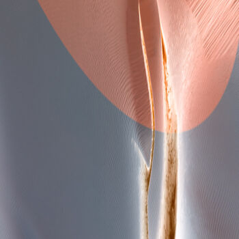 Fotografía titulada "Tender Leaf" por Marek Boguszak, Obra de arte original, Fotografía digital Montado en Plexiglás