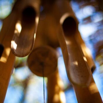 Photographie intitulée "Bambou" par Marevann, Œuvre d'art originale, Photographie numérique