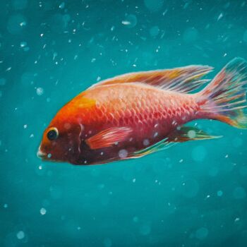 Ζωγραφική με τίτλο "A small fish in a b…" από Maria Alabuzhina (mari_ginger), Αυθεντικά έργα τέχνης, Λάδι Τοποθετήθηκε στο Ξ…
