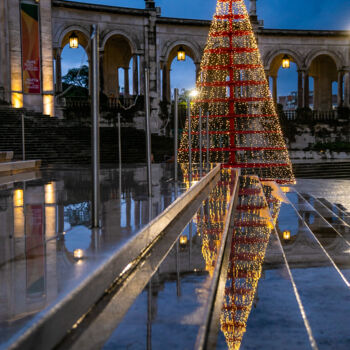 Fotografía titulada "SAPIN" por Marie Elisabeth Soler, Obra de arte original, Fotografía no manipulada