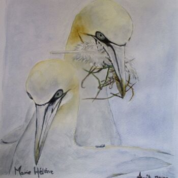 Painting titled "Couple de Bassans" by Bilitis, Original Artwork, Watercolor