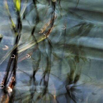Photography titled "Série Reflets "Alli…" by Marie Marlène Mahalatchimy, Original Artwork, Non Manipulated Photography