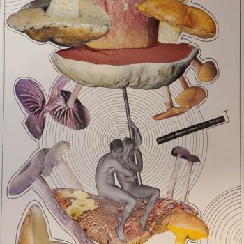 Collages titled "Bolet Satan" by Marion Revoyre, Original Artwork, Collages