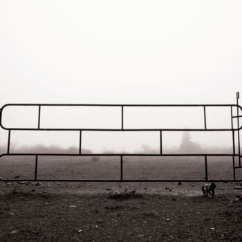 Photographie intitulée "INCERTITUDE" par Marlène Chauveau, Œuvre d'art originale, Photographie numérique