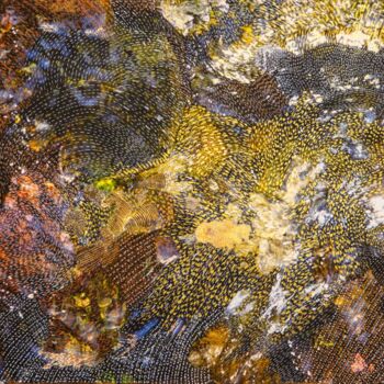 제목이 "The golden reflexio…"인 미술작품 Martina Dupont로, 원작, 아크릴 나무 들것 프레임에 장착됨
