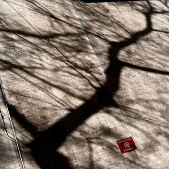 Fotografia zatytułowany „Complicated Shadows” autorstwa Martin Vallis, Oryginalna praca, Fotografia cyfrowa