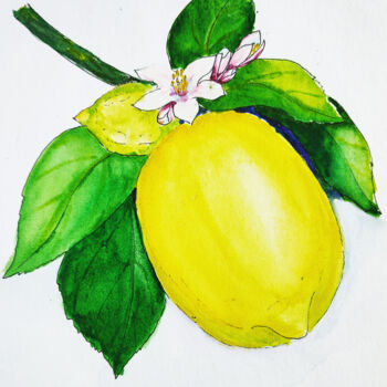 Schilderij getiteld "Lemon on the branch…" door Maryna Pohorielko, Origineel Kunstwerk, Aquarel