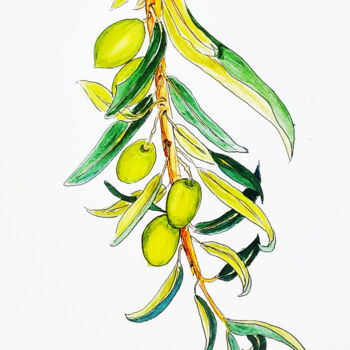 Schilderij getiteld "Olive branch" door Maryna Pohorielko, Origineel Kunstwerk, Aquarel