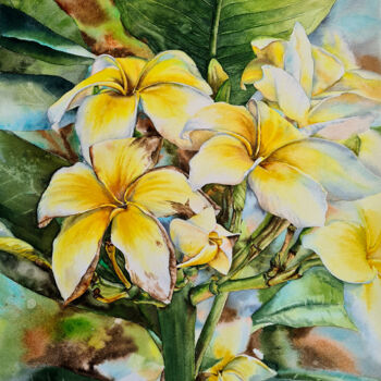 Painting titled "Plumeria - original…" by Maryna Slizinova, Original Artwork, Watercolor