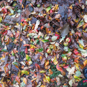 Photography titled "Autumn Ground" by Matyas, Original Artwork, Digital Photography