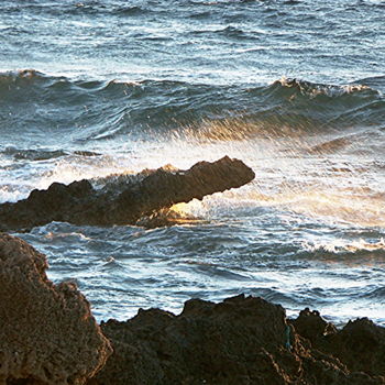 Fotografia zatytułowany „le crocodile de la…” autorstwa Martine Maury, Oryginalna praca, Fotografia nie manipulowana