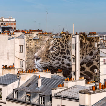 Fotografia intitulada "Un léopard à Montma…" por Maxl, Obras de arte originais, Fotografia Manipulada