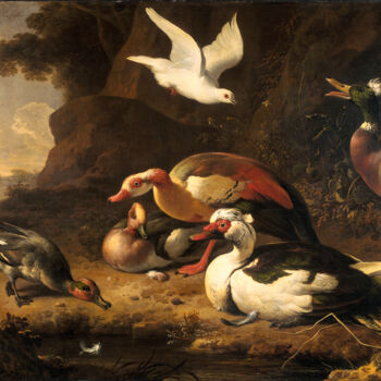 Peinture intitulée "Ducks" par Melchior D'Hondecoeter, Œuvre d'art originale, Huile