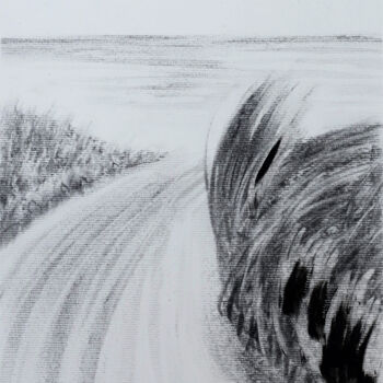 Drawing titled "Nature I" by Teresa Melo, Original Artwork, Charcoal