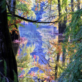 Fotografia zatytułowany „Prémices d'Automne…” autorstwa Michel Guillet, Oryginalna praca