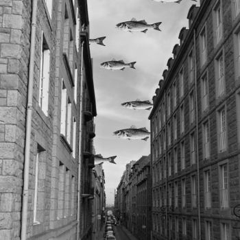 Fotografía titulada "Invasion fishes" por Michel Poirier, Obra de arte original, Fotografía digital