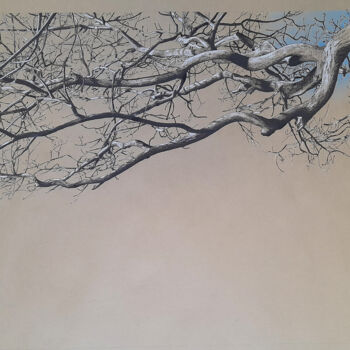 Drawing titled "Grandes Branches 2…" by Michèle Caranove, Original Artwork, Ink