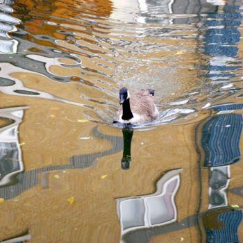 제목이 "Duck"인 사진 Michelle Baharier로, 원작, 디지털