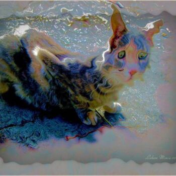 Arte digital titulada "Le chat angoissé" por Mimia Lichani, Obra de arte original