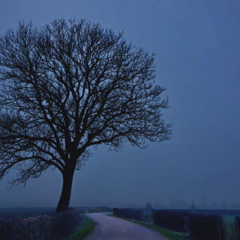 Fotografie mit dem Titel "Arbre 44" von Miodrag Aubertin, Original-Kunstwerk