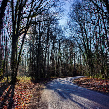 Photographie intitulée "Arbres 57" par Miodrag Aubertin, Œuvre d'art originale