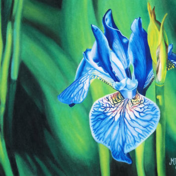 Pittura intitolato "Iris" da Marie-Jeanne Fawer, Opera d'arte originale, Pastello