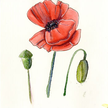 Painting titled "Poppies" by Mkate, Original Artwork, Watercolor