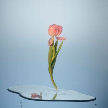 Fotografia intitolato "Floating" da Mmiri, Opera d'arte originale, Fotografia digitale