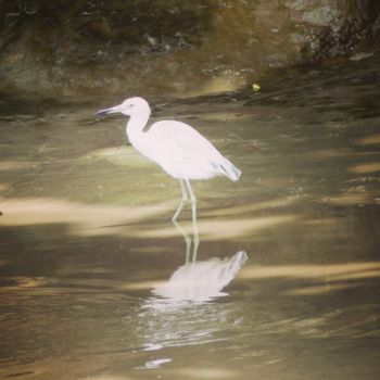 Photographie intitulée "Les jardins de la t…" par Monique Anna Michel, Œuvre d'art originale, Photographie non manipulée