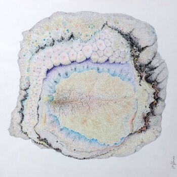 Dessin intitulée "Coeur de pierre 12" par Myriam Schmaus, Œuvre d'art originale, Crayon Monté sur Carton