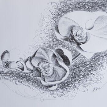图画 标题为“Архидеи” 由Надежда Потехина, 原创艺术品, 铅笔