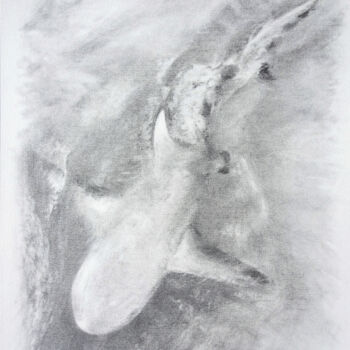 Drawing titled "Prédation" by Nathalie Setea, Original Artwork, Charcoal