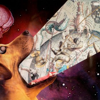 Collages titled "The dog knows" by Dysfunctional Brain Works, Original Artwork, Paper