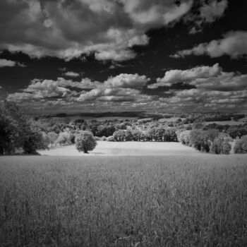 Fotografía titulada "Brocéliande" por Nicolas Dalaudier, Obra de arte original, Fotografía digital