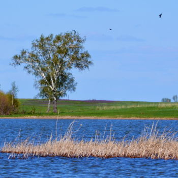 「Весной на озере」というタイトルの写真撮影 Николай Матюшенковによって, オリジナルのアートワーク