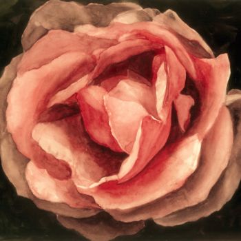 Peinture intitulée "ROSE IN BLOOM" par Nives Palmić, Œuvre d'art originale, Aquarelle