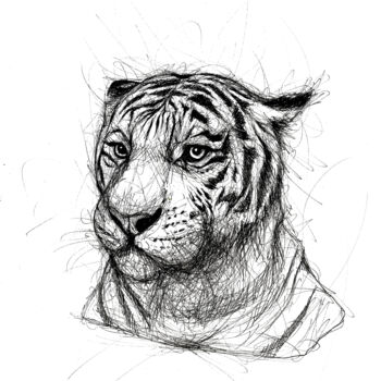 Dessin intitulée "Tiger lines" par Art De Noé, Œuvre d'art originale, Encre
