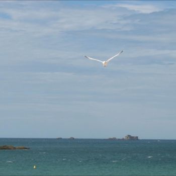 Φωτογραφία με τίτλο "Mouette 2" από Noëlle Harault, Αυθεντικά έργα τέχνης