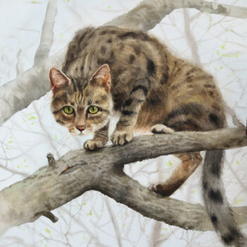 Peinture intitulée "Country cat climbin…" par Olga Beliaeva, Œuvre d'art originale, Aquarelle